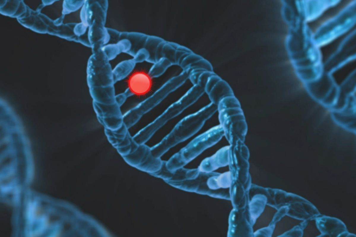 Dna esaminato in laboratorio