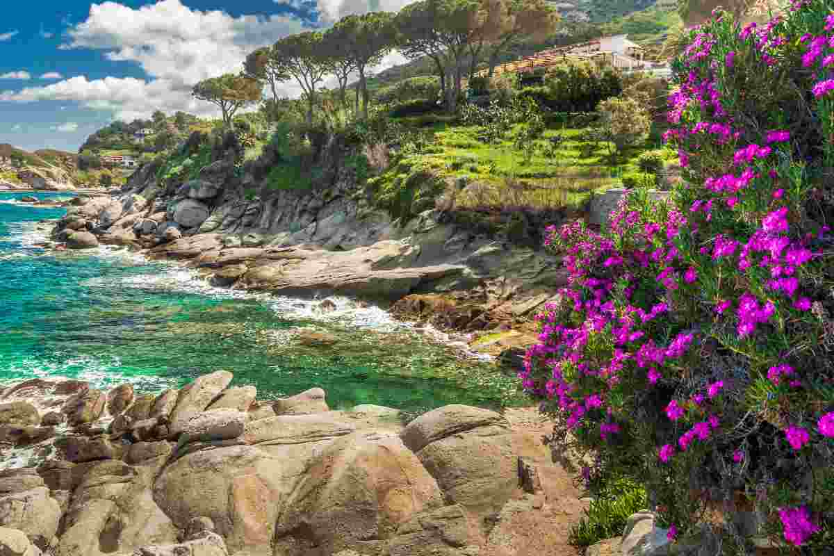 Isola elba