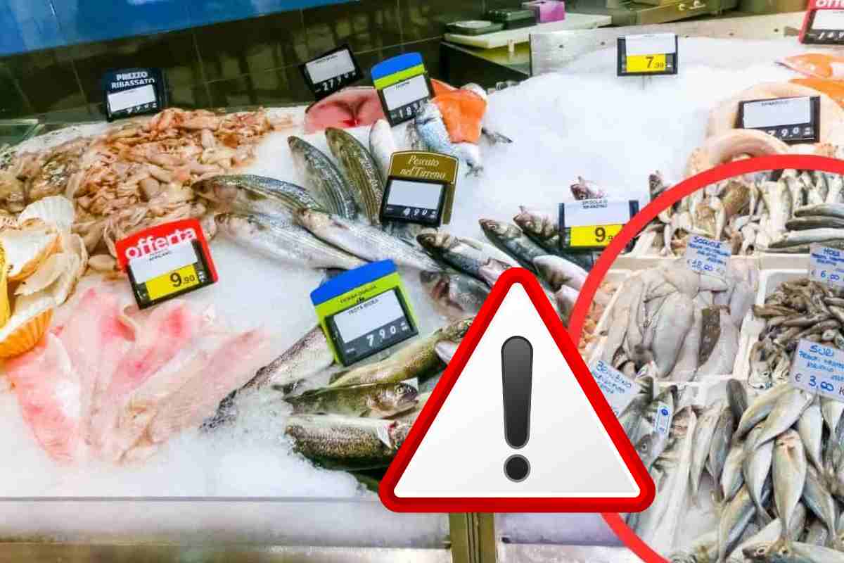 Troppo mercurio: richiamato il pesce di alcuni supermercati