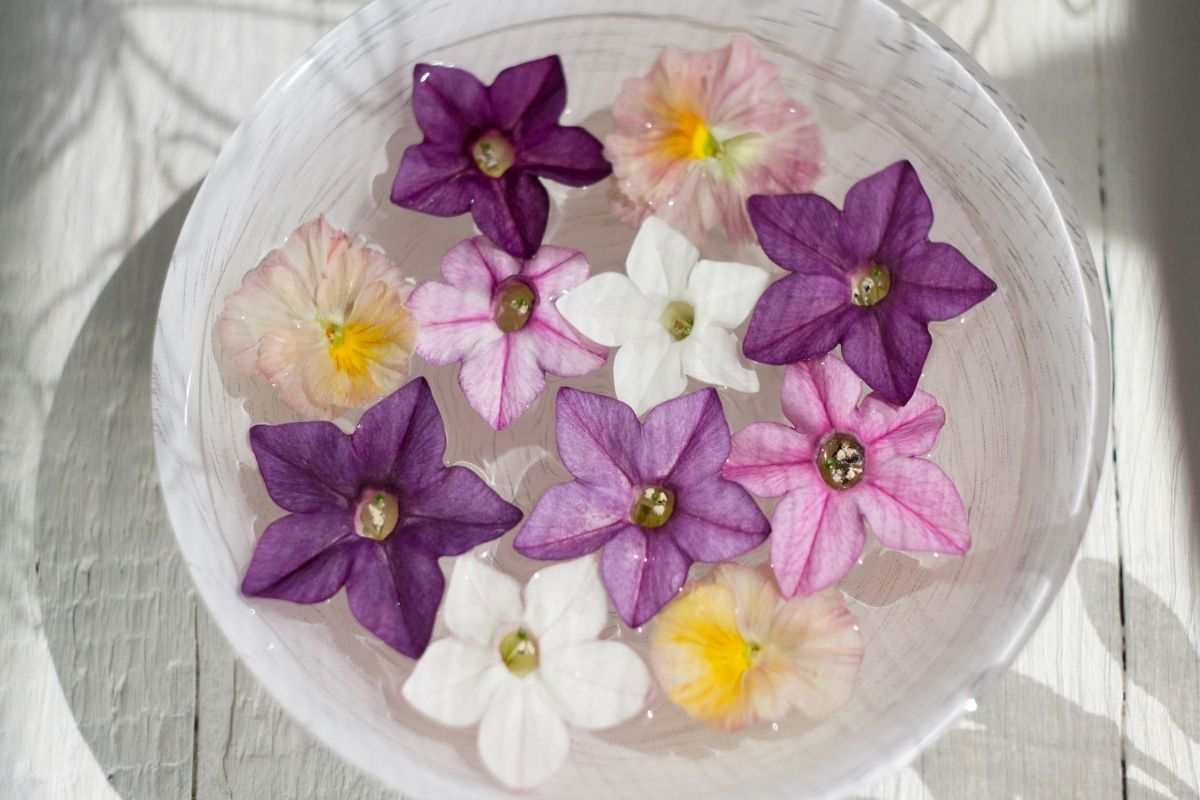 Bacinella con i fiori profumati