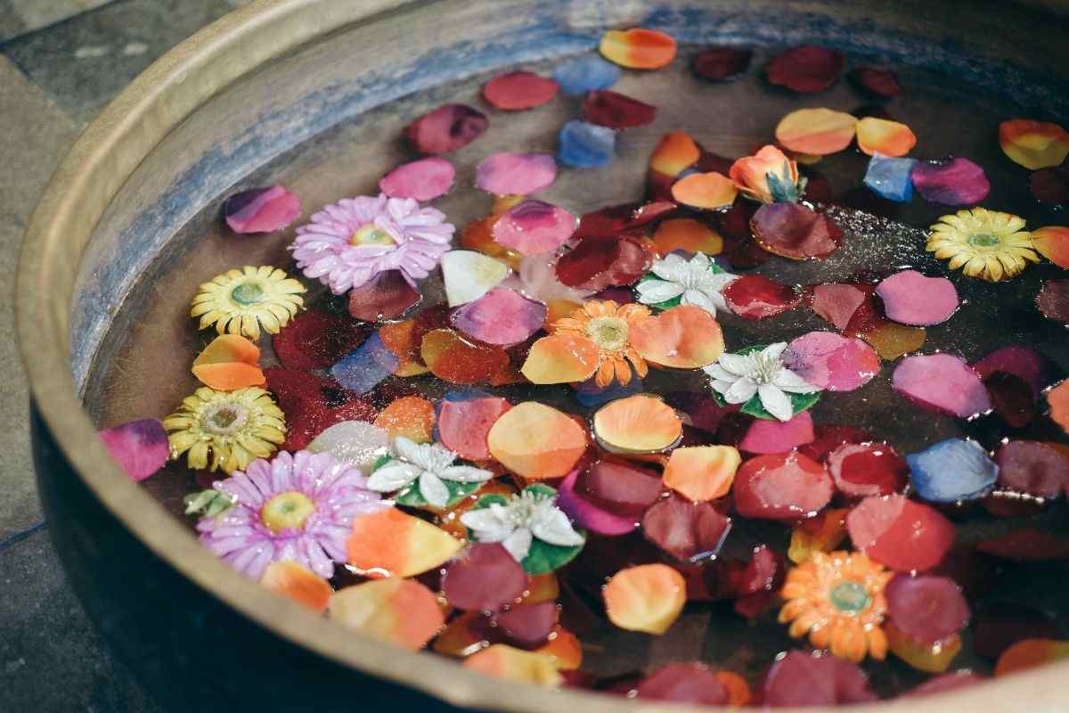 Bacinella contenente acqua e fiori freschi