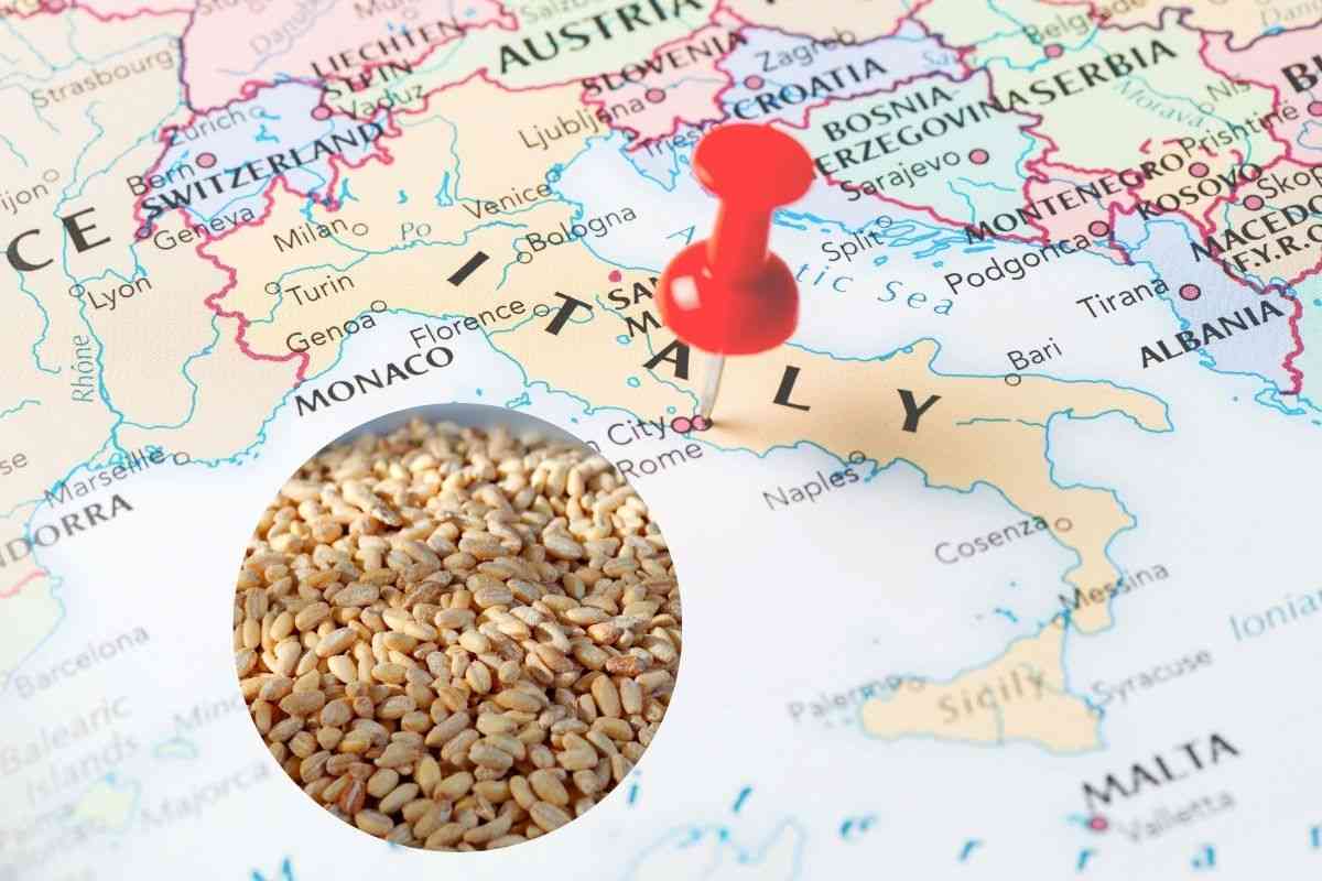 mappa italia e un piatto nel cerchietto