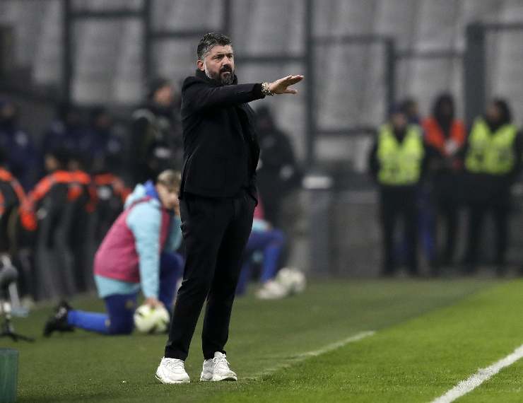 gattuso in piedi da indicazioni