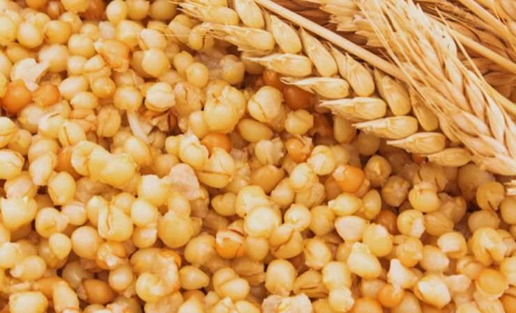 grano