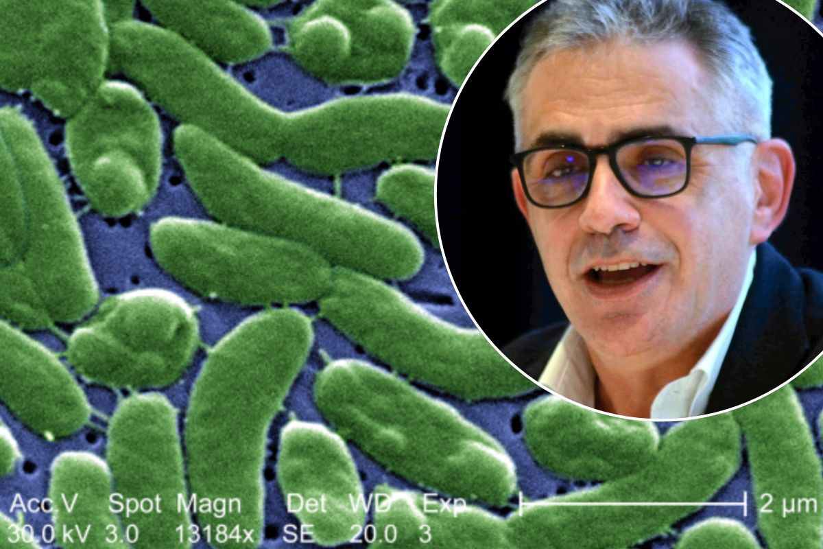 Il ricercatore Fabrizio Pregliasco