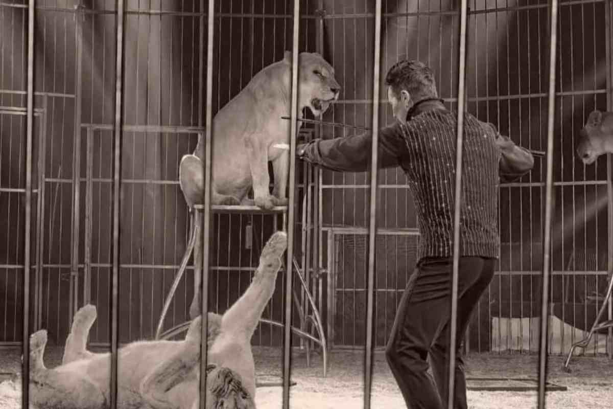 “Azzannato da una tigre, ho visto l’aldilà”, il dramma di Stefano Nones Orfei