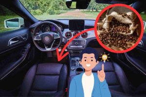 auto chicchi caffè grafica uomo idea
