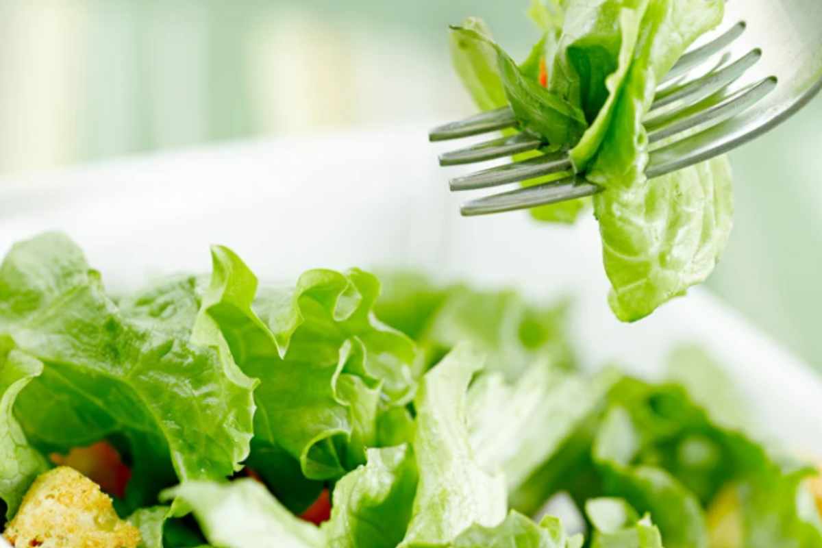 insalata