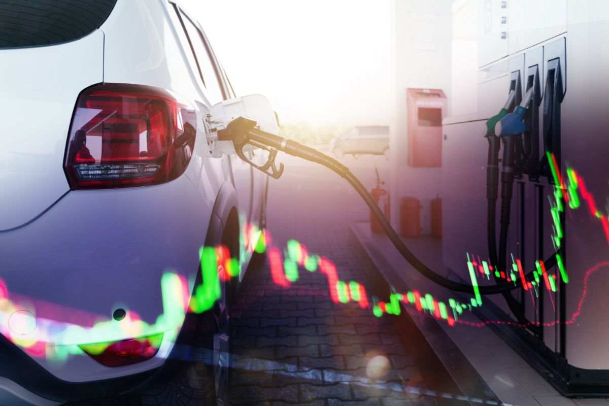 auto carburante grafica
