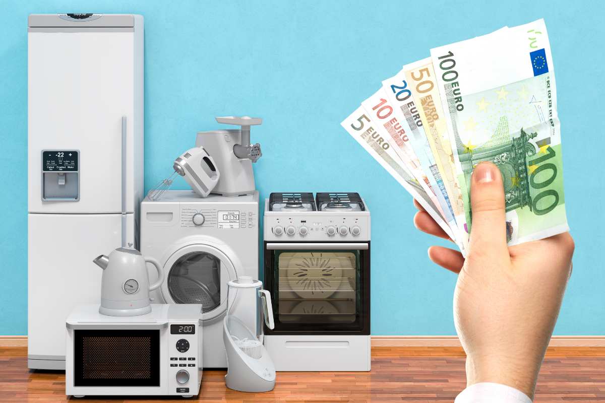 elettrodomestici e mano con banconote euro